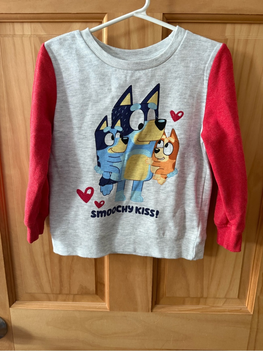 Like New, Unisex Kids Bluey Sweatshirt Size 5T